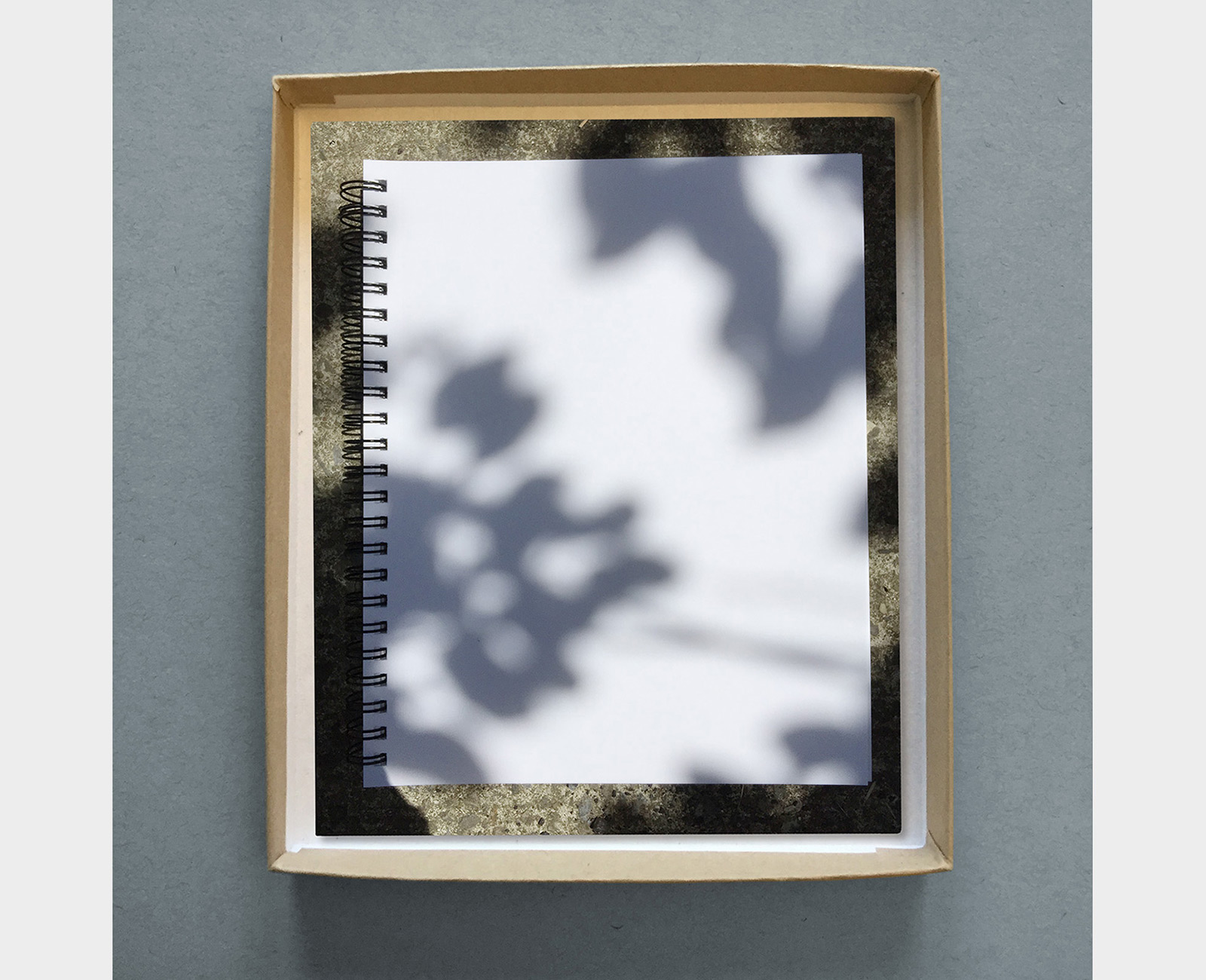 Box of Shadows. Archival pigment print. 2020.