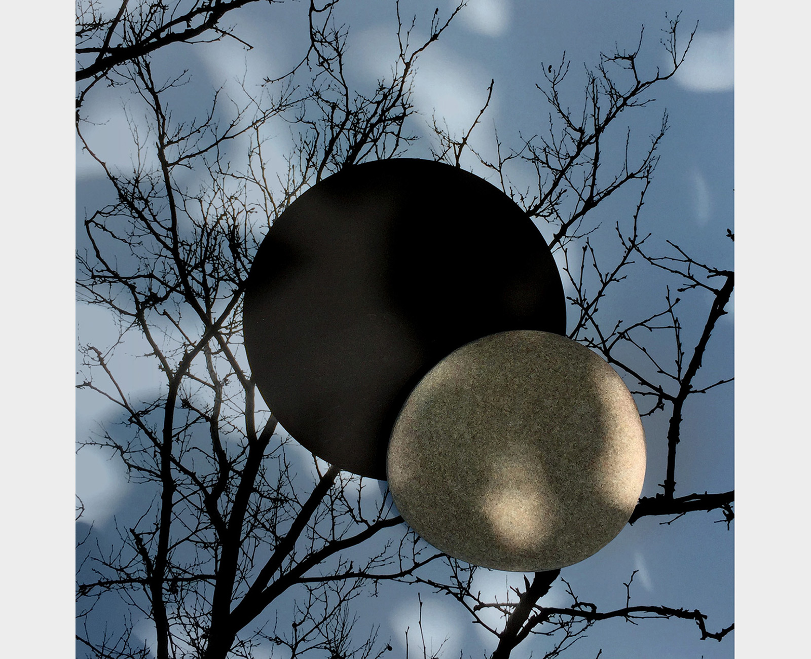 Circle, Stone, Tree. Archival pigment print. 2020.