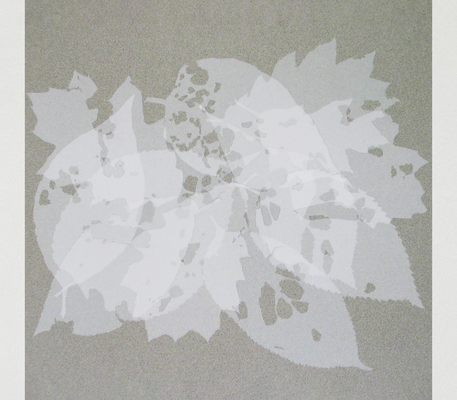 Ghost Leaves. Cut vellum on paper. 2010.