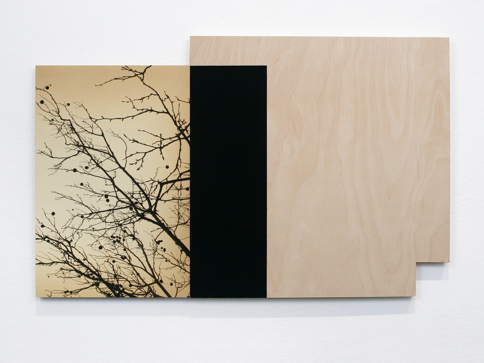 Logic Tree 2. Flashe, gouache, archival pigment print, wood. 2014.
