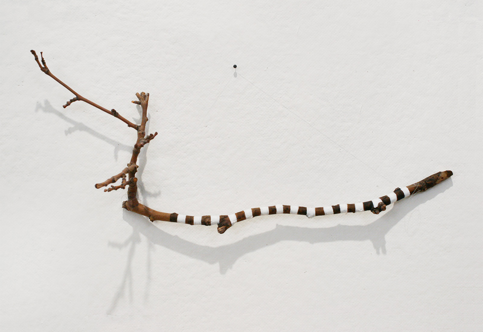 A Measure of Uncertainty (centimeters). Acrylic on branch. 2012.