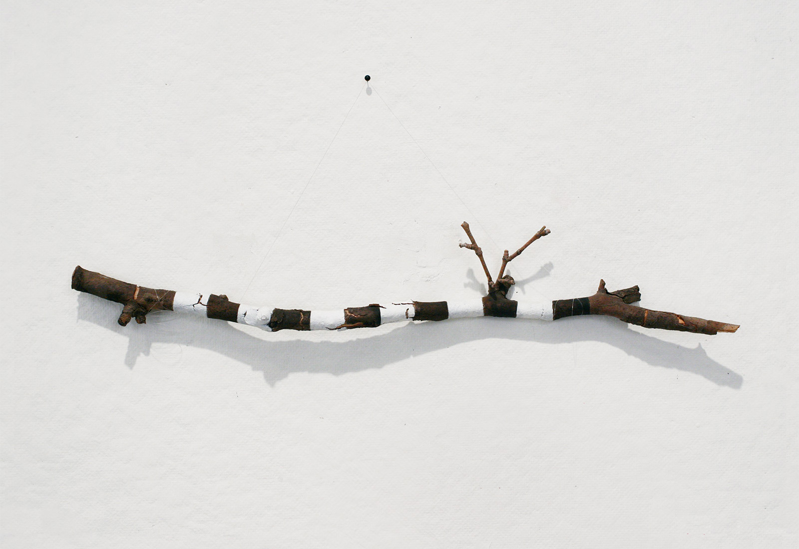 A Measure of Uncertainty (inches). Acrylic on branch. 2012.