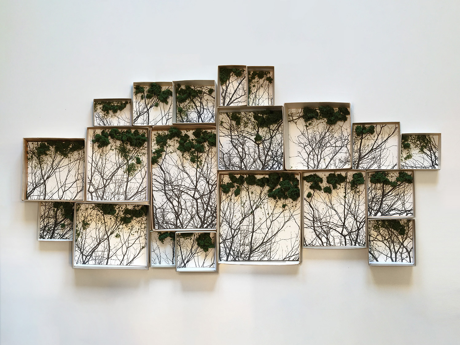 Untitled. Archival pigment prints and model railroad foliage in cardboard jewelry boxes. 2013.