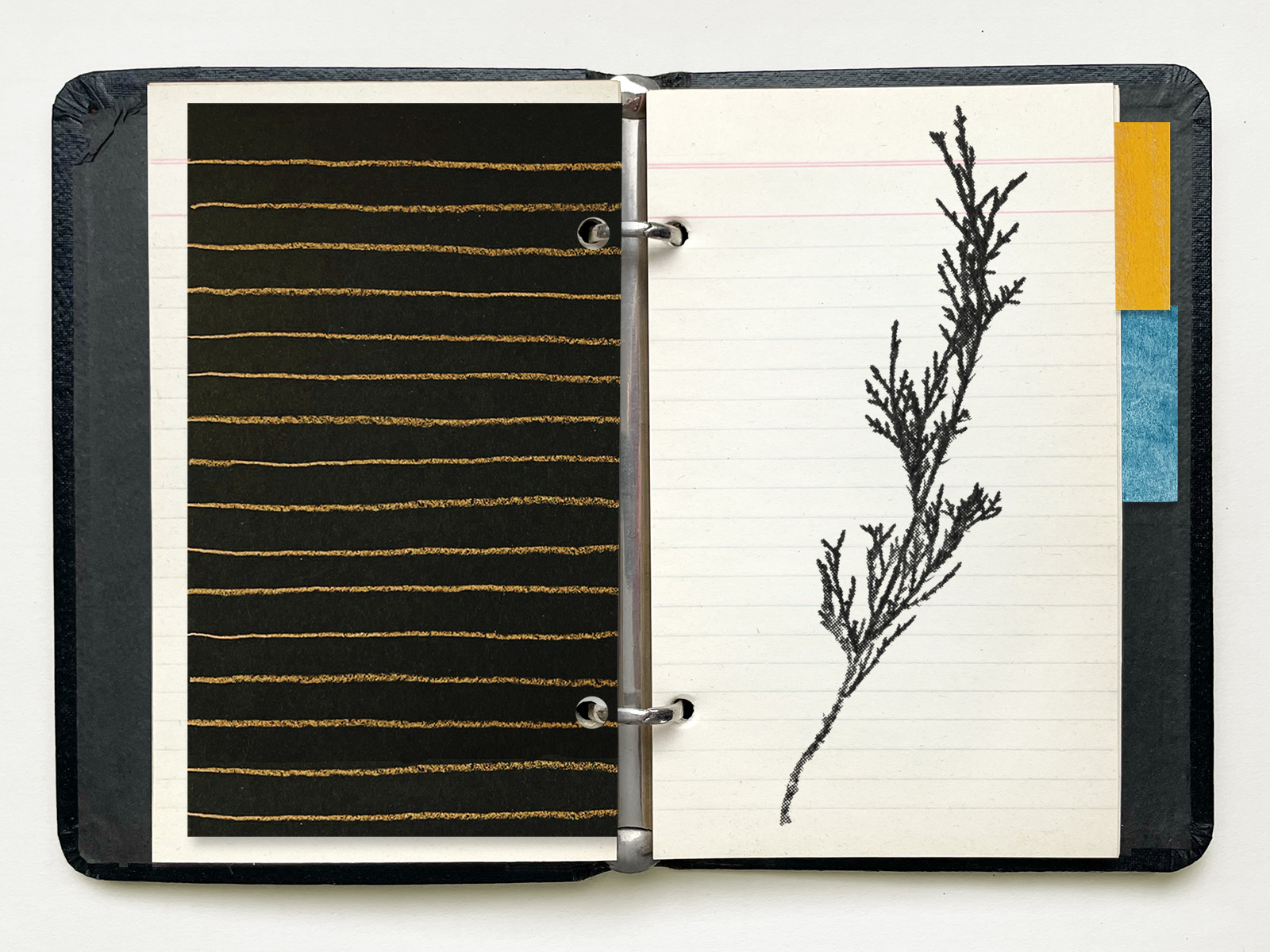 bertolo. little black notebook