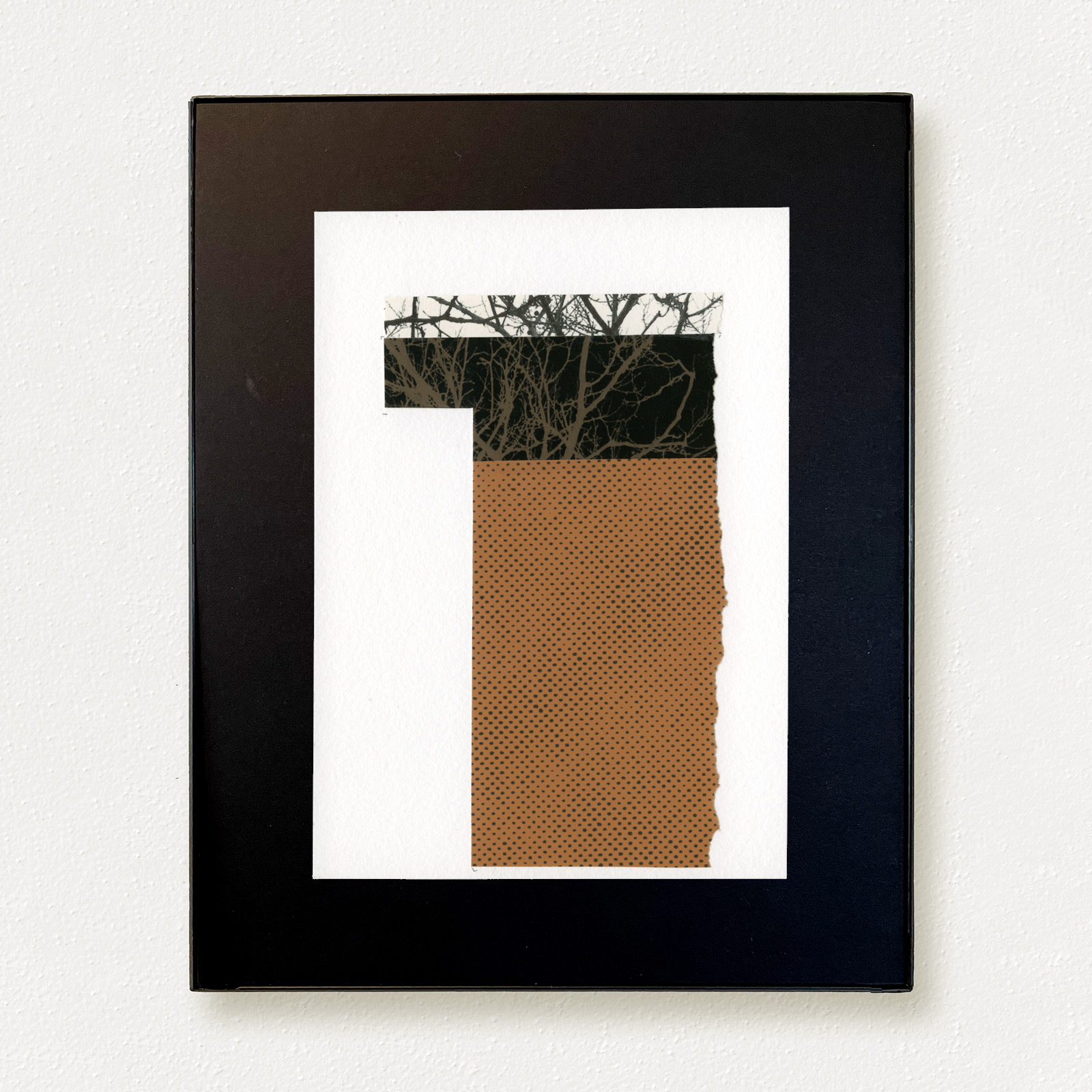 Remembering Trees (detail), 2025.
