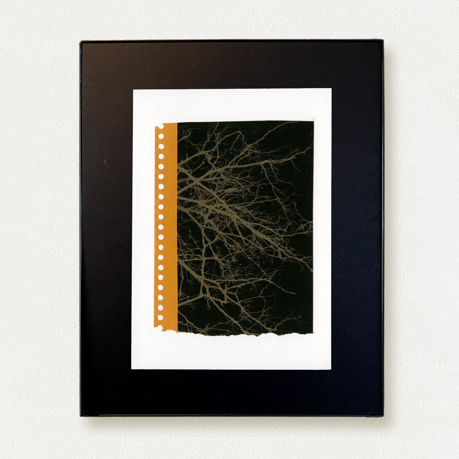 Remembering Trees (detail), 2025.