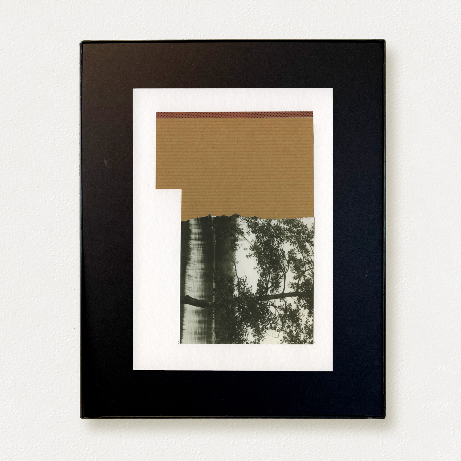 Remembering Trees (detail), 2025.