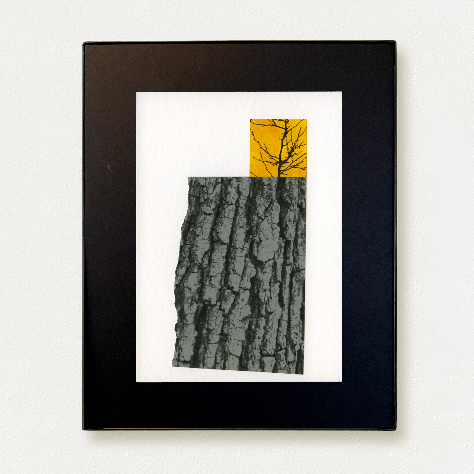 Remembering Trees (detail), 2025.